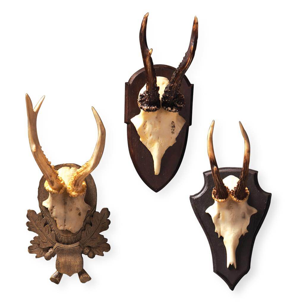 set of wall antlers
