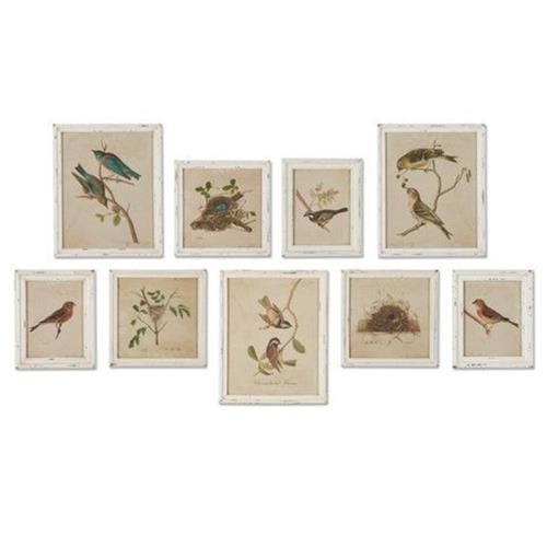 bird art