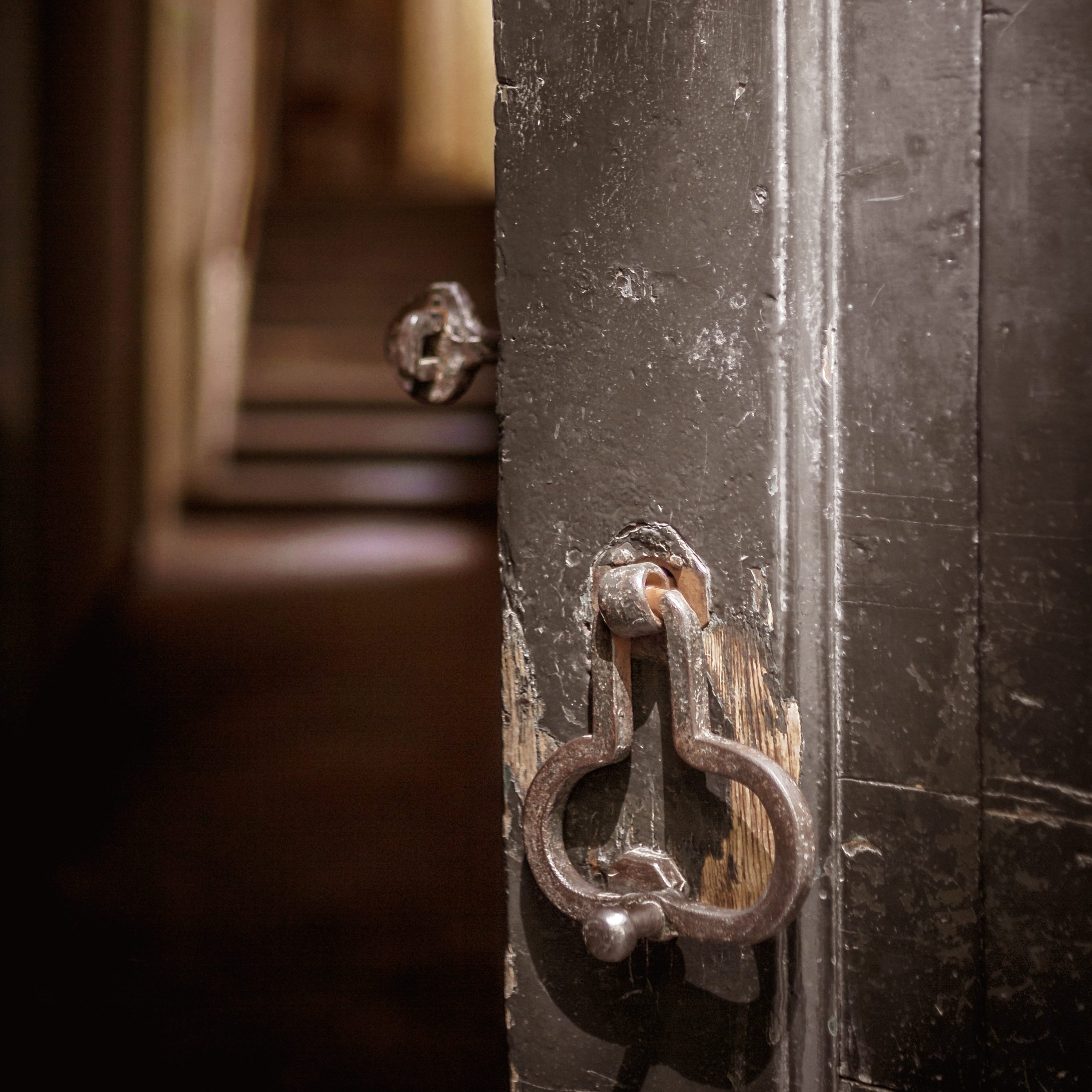 Brown wood door with a metal door knocker