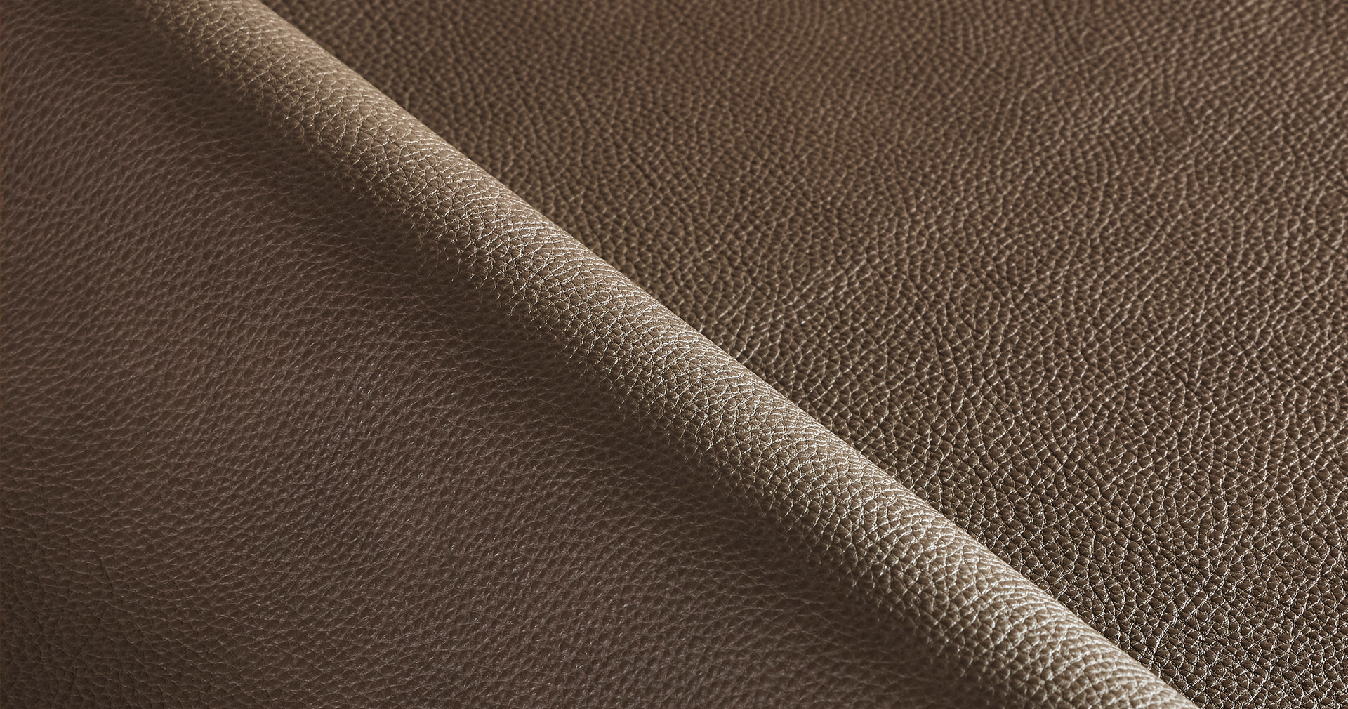 Clove Brown Leather fabric swatch