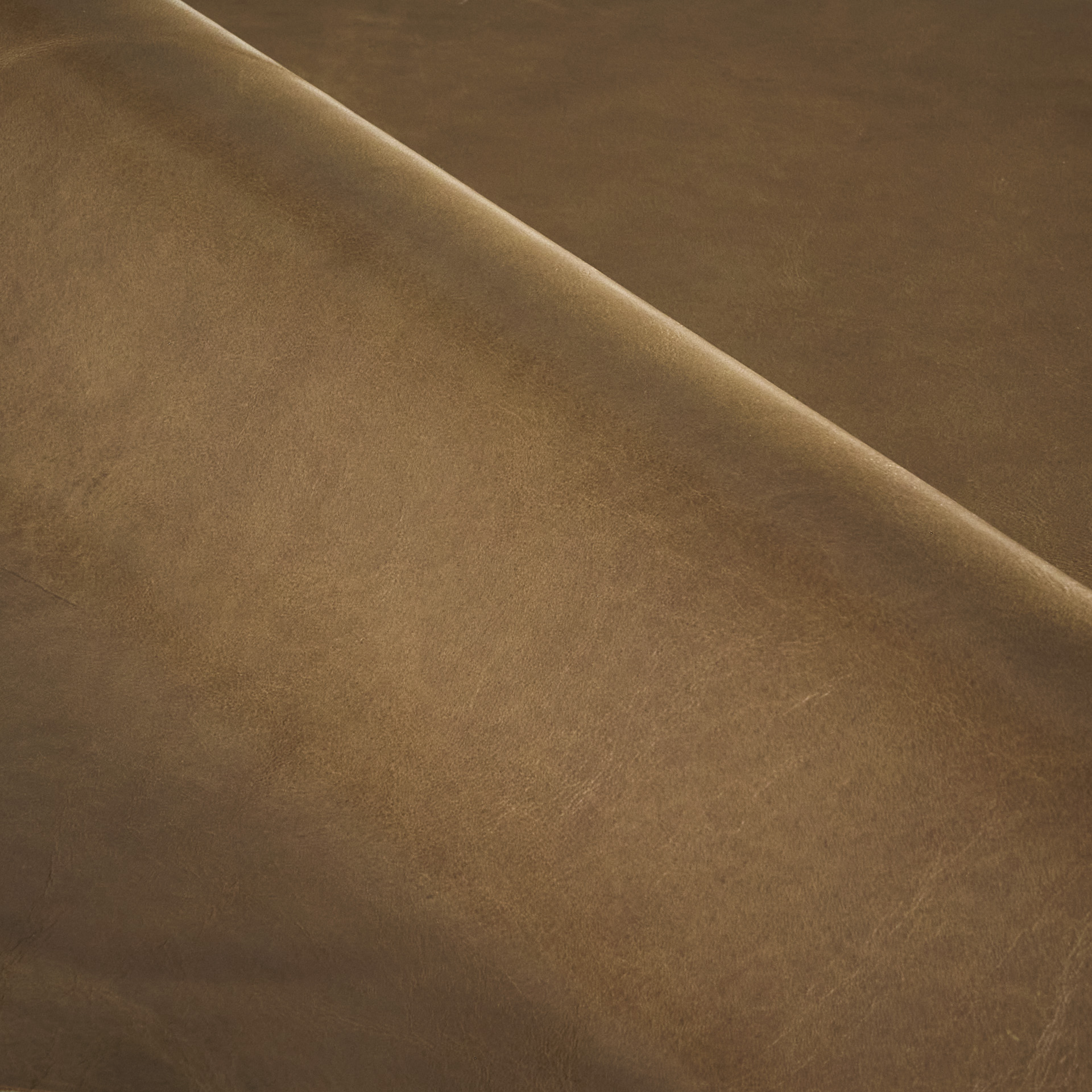 Whisky Leather fabric swatch