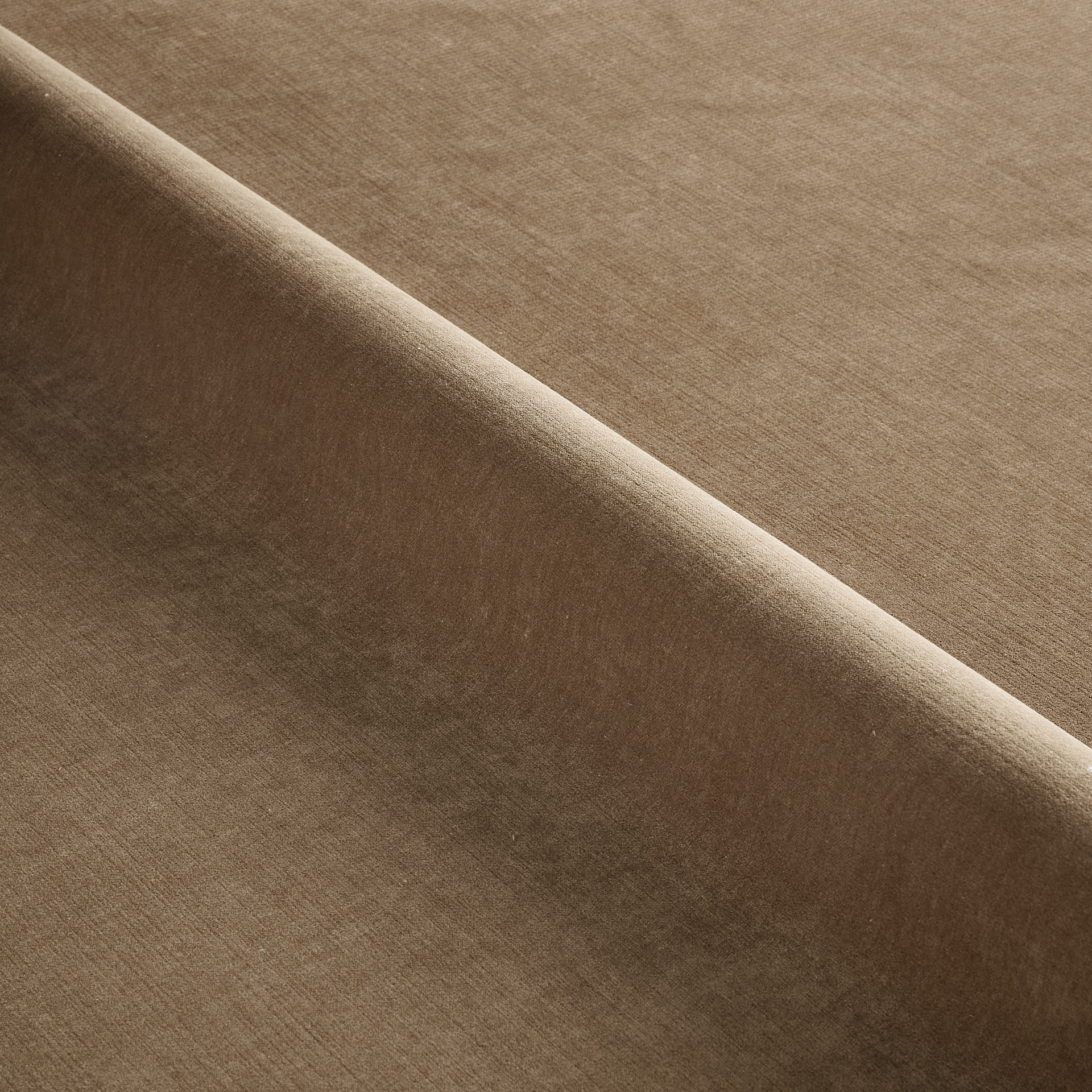 Desert Sand Velvet fabric swatch