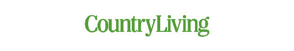 Press Article Logo