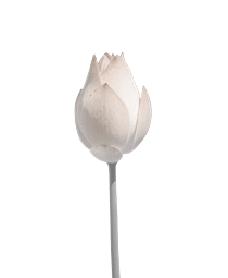 Floral motif