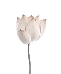 Floral motif