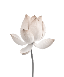 Floral motif