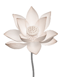 Floral motif