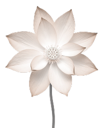 Floral motif